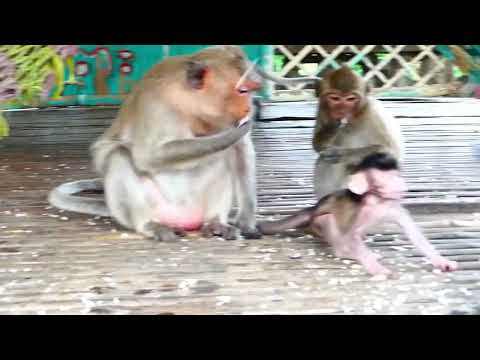 Oh My Goodness Why Father Slapped Baby Mom Is Quickly To Get Out 