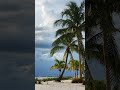 Photos of Bonita Springs Florida - #palmtrees #beach #nature #southwestflorida #gulfofmexico