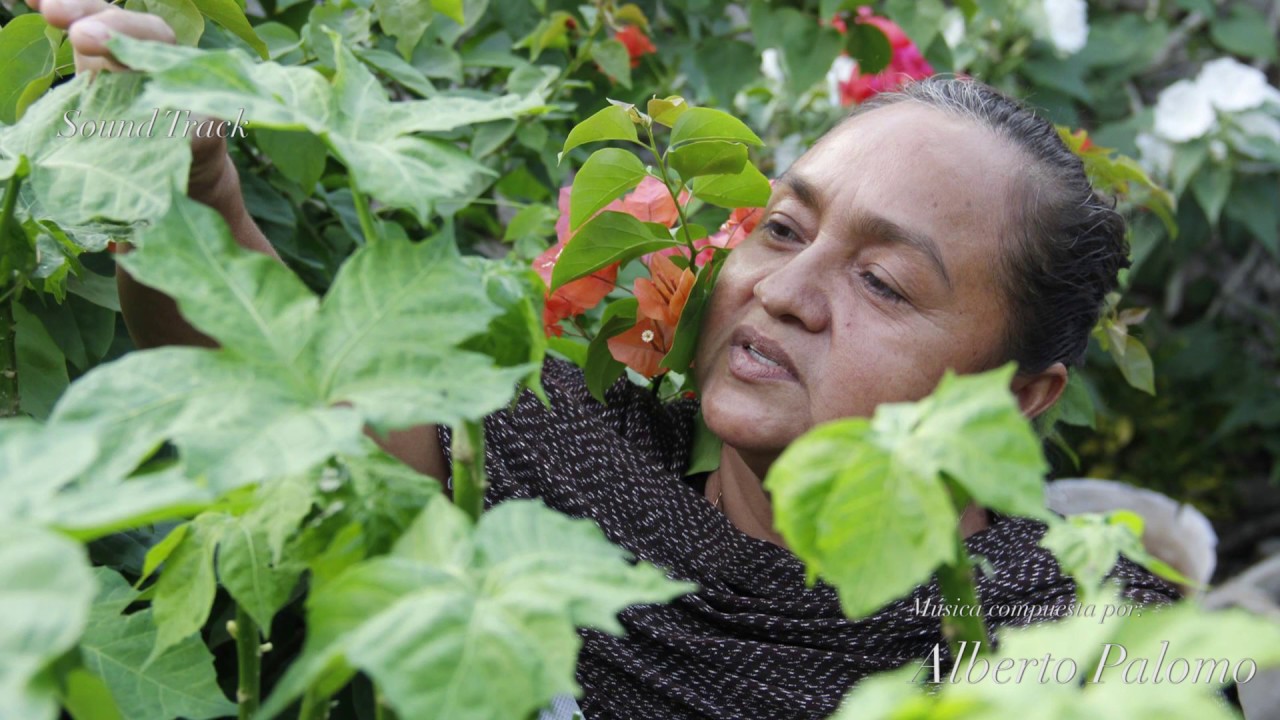 soundtrack de Huevito con Chaya