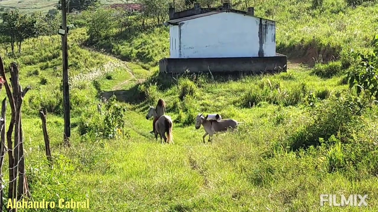 Aventura em 4 patas com meu irmão. 