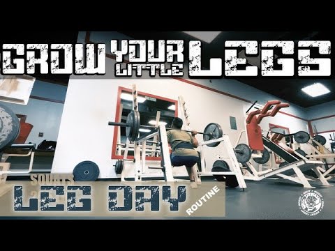 LEG DAY WORK OUT ROUTINE TO BUILD STRONG LEGS #gym #bodybuilding # ...