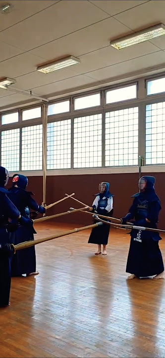 🇨🇵🇯🇵#Kendo Strasbourg. Le duo France Japon, c'est tout bon. De très beaux moments d'échange.
