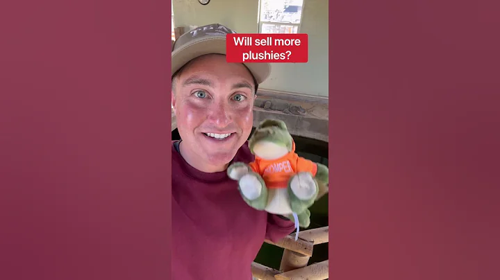 Which Alligator Will Sell More Stuffed Animals??? ...