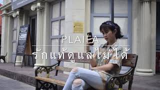 รักแท้ดูแลไม่ได้ - Potato [COVER BY ปลายฟ้า] chords