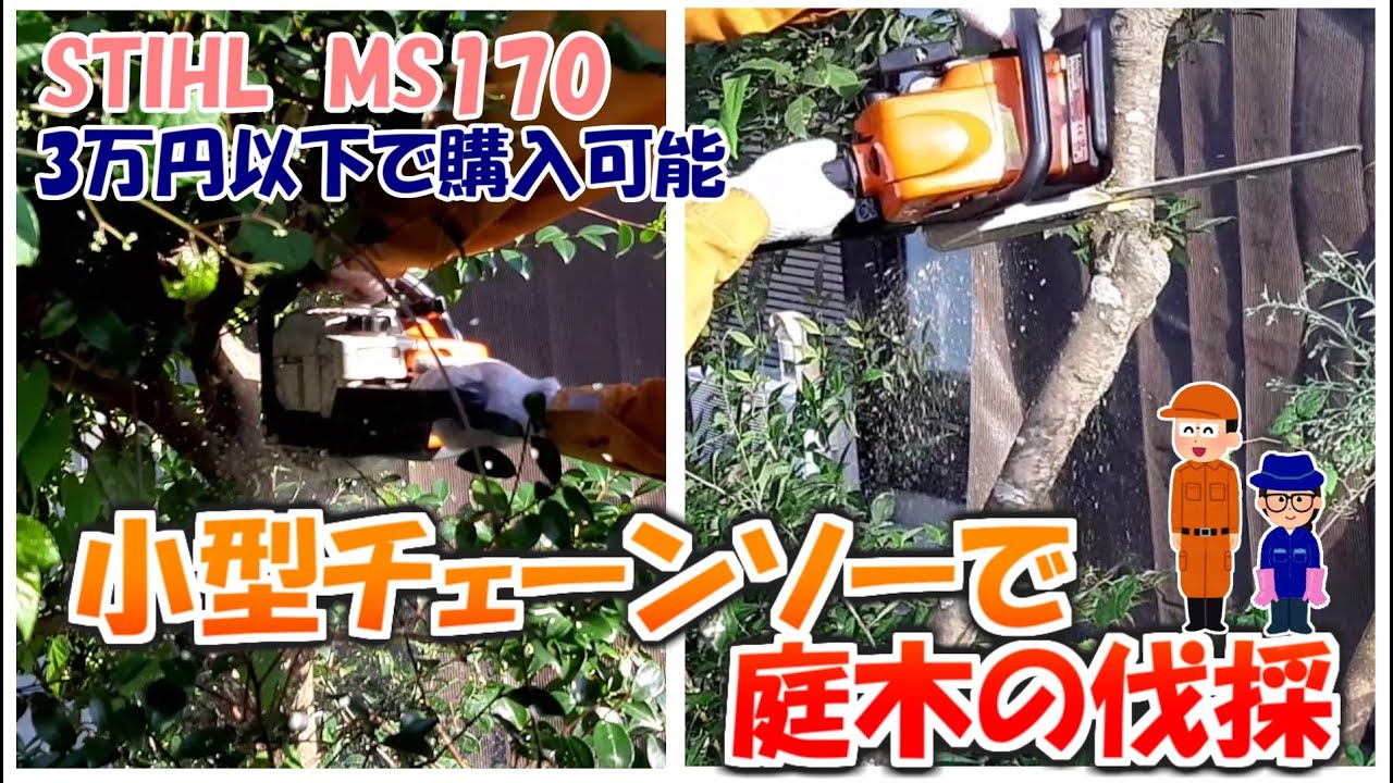 庭木の伐採】STIHLの小型チェーンソーで木の伐採 - YouTube
