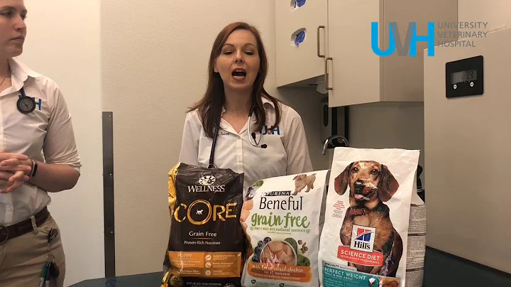 Is there a link between Grain Free Pet food and Dilated Cardiomyopathy