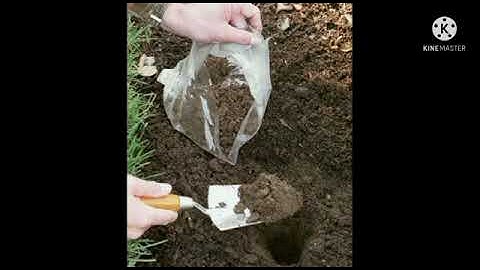 # Method Demonstration # soil sampling # FoA AU # RAWE