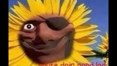 [SCP SL] most normal scp secret lab round