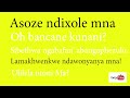 Asoze Ndixole Mna - Lyric Video (Translations in CC Subtitles)