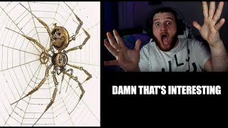 DAMN THAT"S INTERESTING, Reddit, More Funny Reddits
