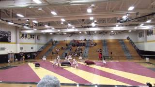 Mineola High School Winterguard 2014 performance at MAIN championships April 2014