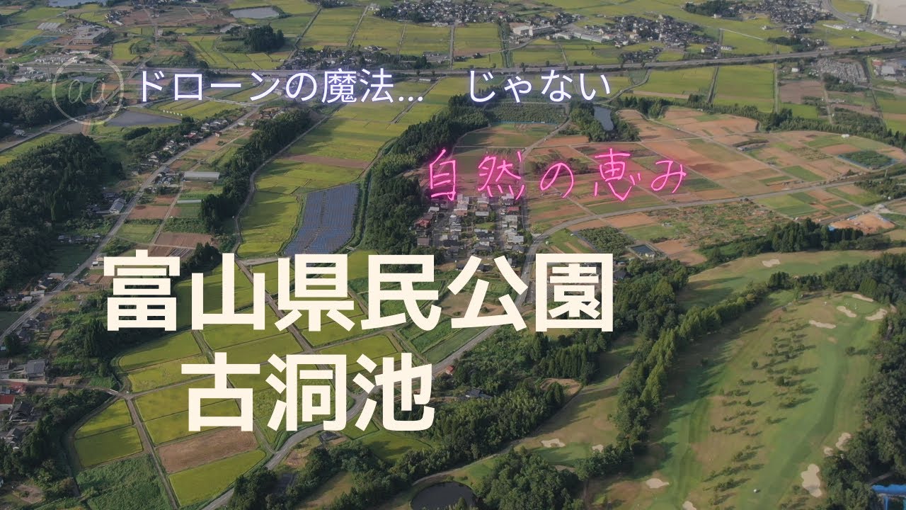 富山県民公園 古洞池 - YouTube