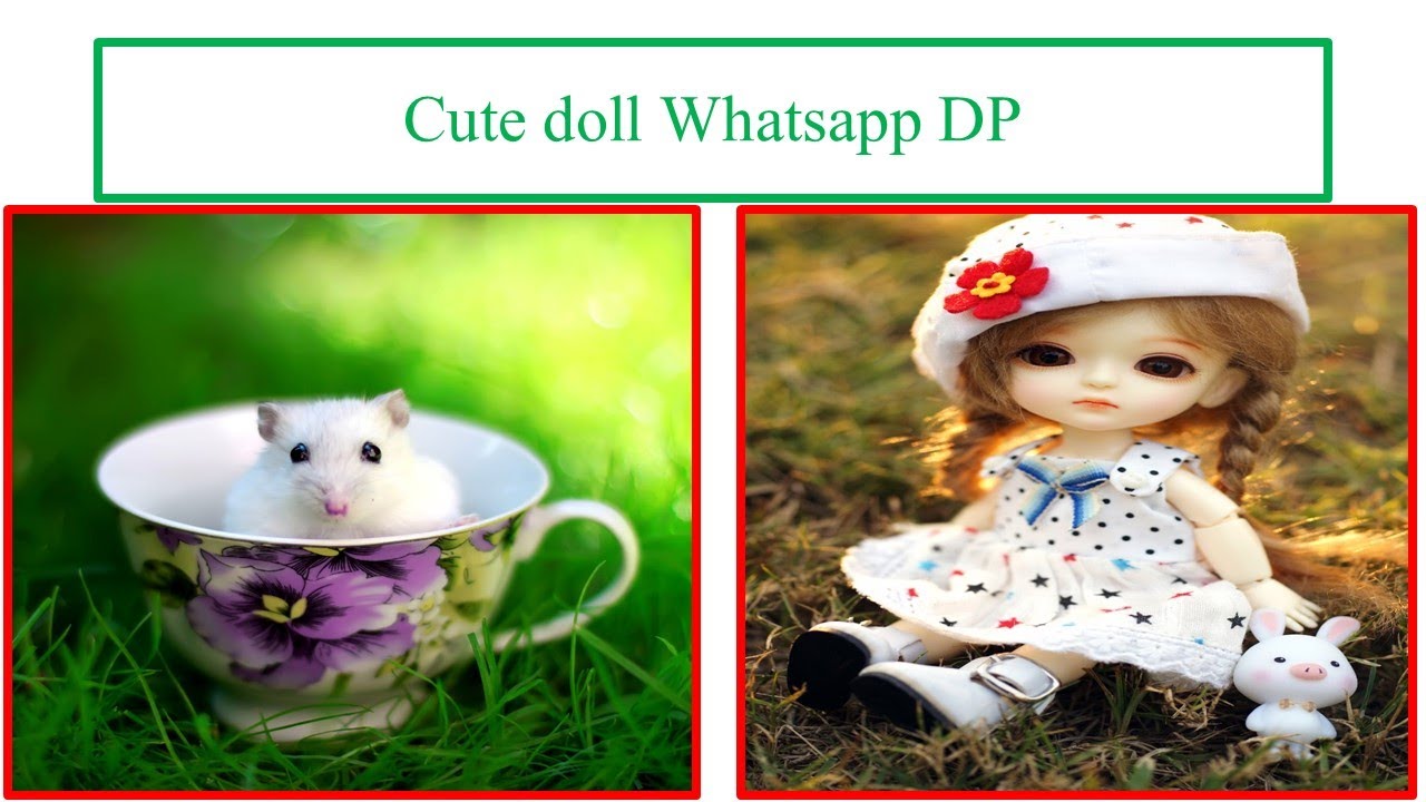 whatsapp DP / Cute Doll Whatsapp DP/cute DP images/NGL Tamil ...