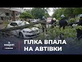 🚗 По Малій Морській ВПАЛА ГІЛКА і ПОШКОДИЛА ЛЕГКОВІ АВТО: що відомо