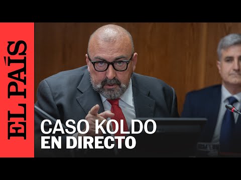 DIRECTO | Comisión de investigación "Caso Koldo" en el Senado | EL PAÍS