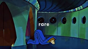 Bird - Documented Baller