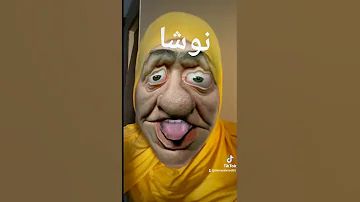نوشا 