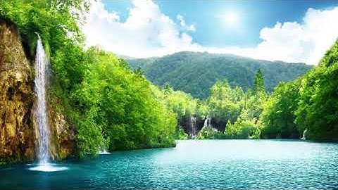 سورة المجادلة بصوت: رعد محمد الكري | QuranTV |