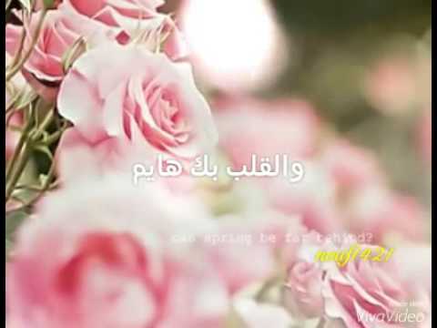 شيلة احتاجلك دايم والقلب بك هايم