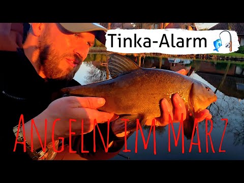 FamBet: Paras Kasinolla Pelata Online - Suomalaisille!