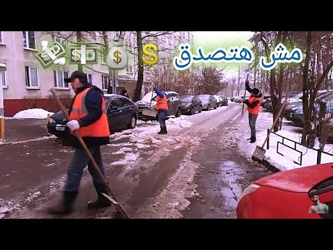 فيديو: أكثر المناطق نظافة بيئيًا في روسيا