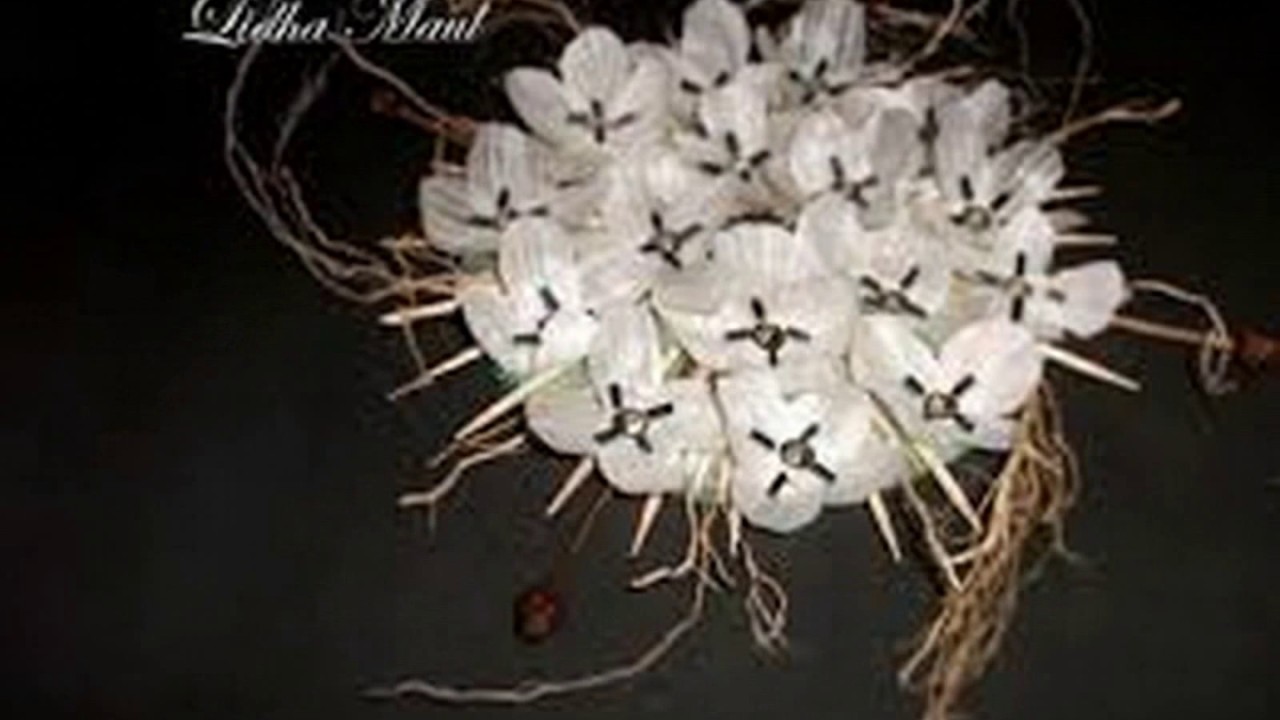  Kerajinan  Bunga  Dari  Kulit Bawang Putih YouTube