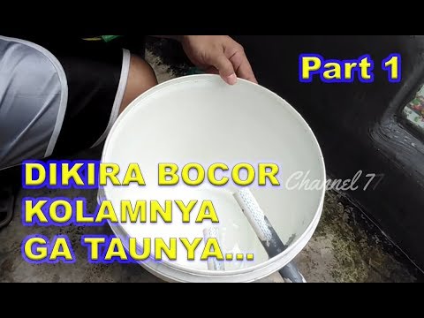 Kolam Ikan Bocor Ga Taunya... #Part1