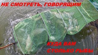 Не Смотреть говорящим Куда вам столько рыбы