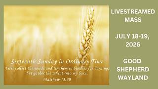 Patience and Tolerance: Lessons from Jesus' Parables