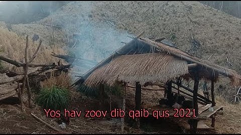 Yos hav zoov dib qaib qus 2021