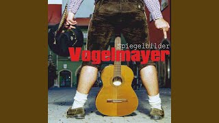 Video thumbnail of "Vogelmayer - Dahoam"