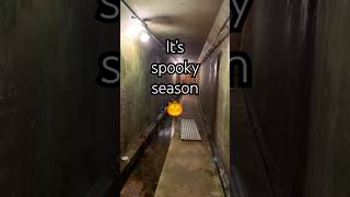 You never know what might be lurking in the dark #halloween #dams