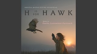 Download Lagu You Don't Seem Fine MP3