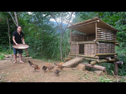 Video: DIY Chicken Coop: Det är inte så svårt som du kan tänka dig