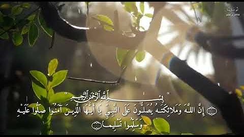تلاوة هادئة /إن الله وملائكته يصلون على النبي🌷