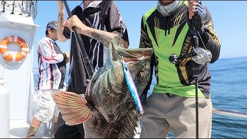 How to setup your Slow Pitch Vertical Jigging System Phenix Titan Hybrid Jigging Rods and Long Fall