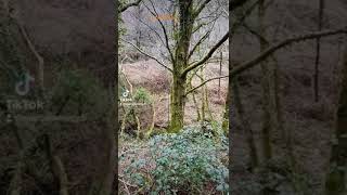 Luneda- A Cañiza