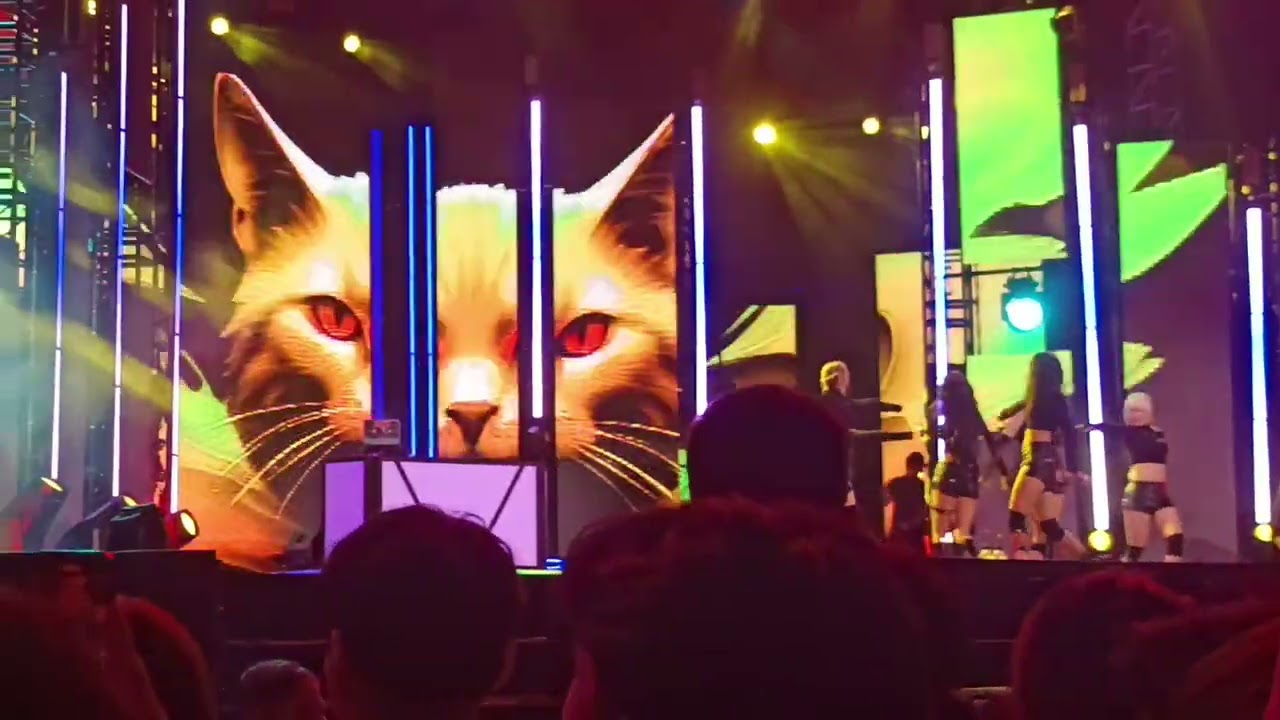 Irene and Seulgi Red Velvet performance at Siloso Beach New Year Countdown 2025