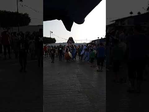 العرس التقليدي في تونس مذهل جدا 