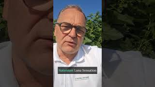 Ochrona plantacji porzeczek