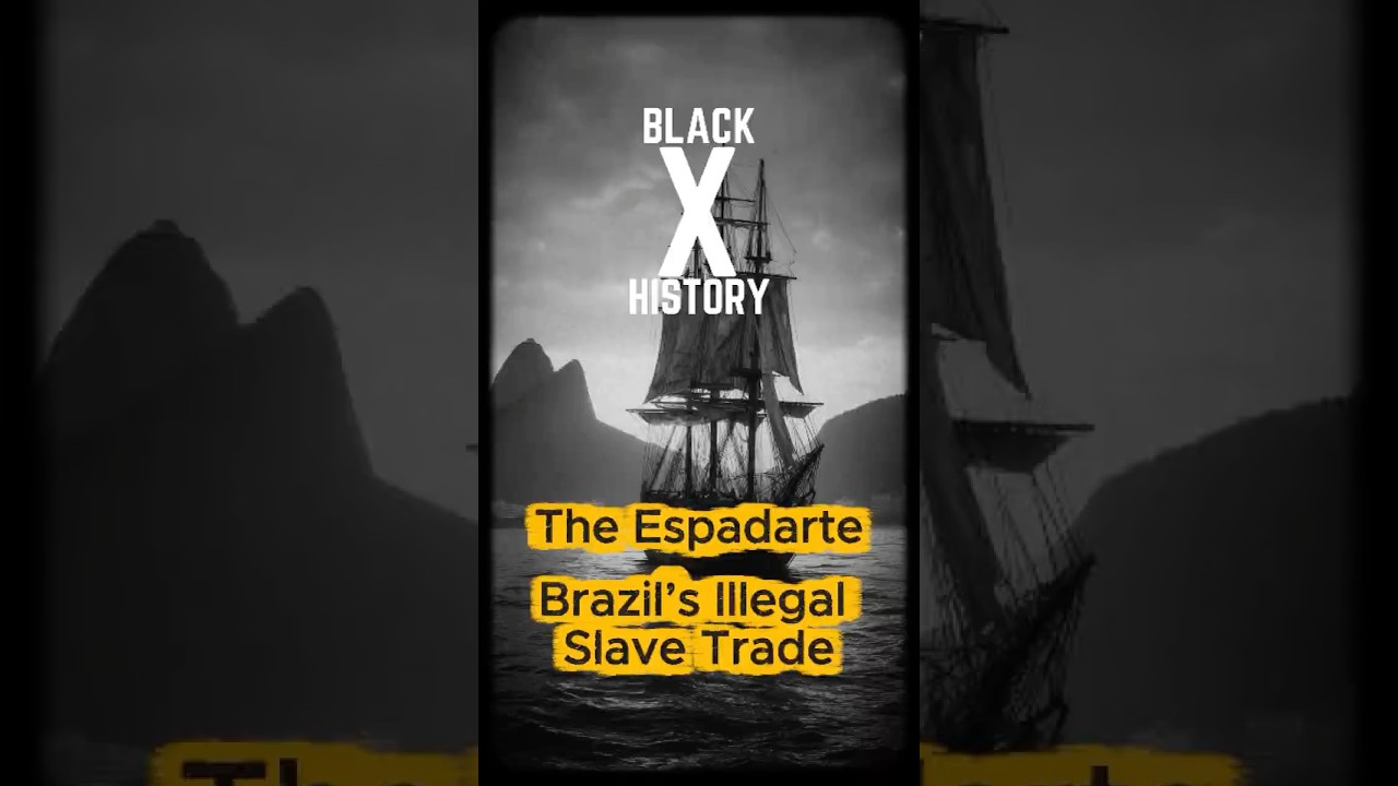 The Ship Espadarte and the Brazilian Bank Built on Human Cargo  #blackhistoryx #facts