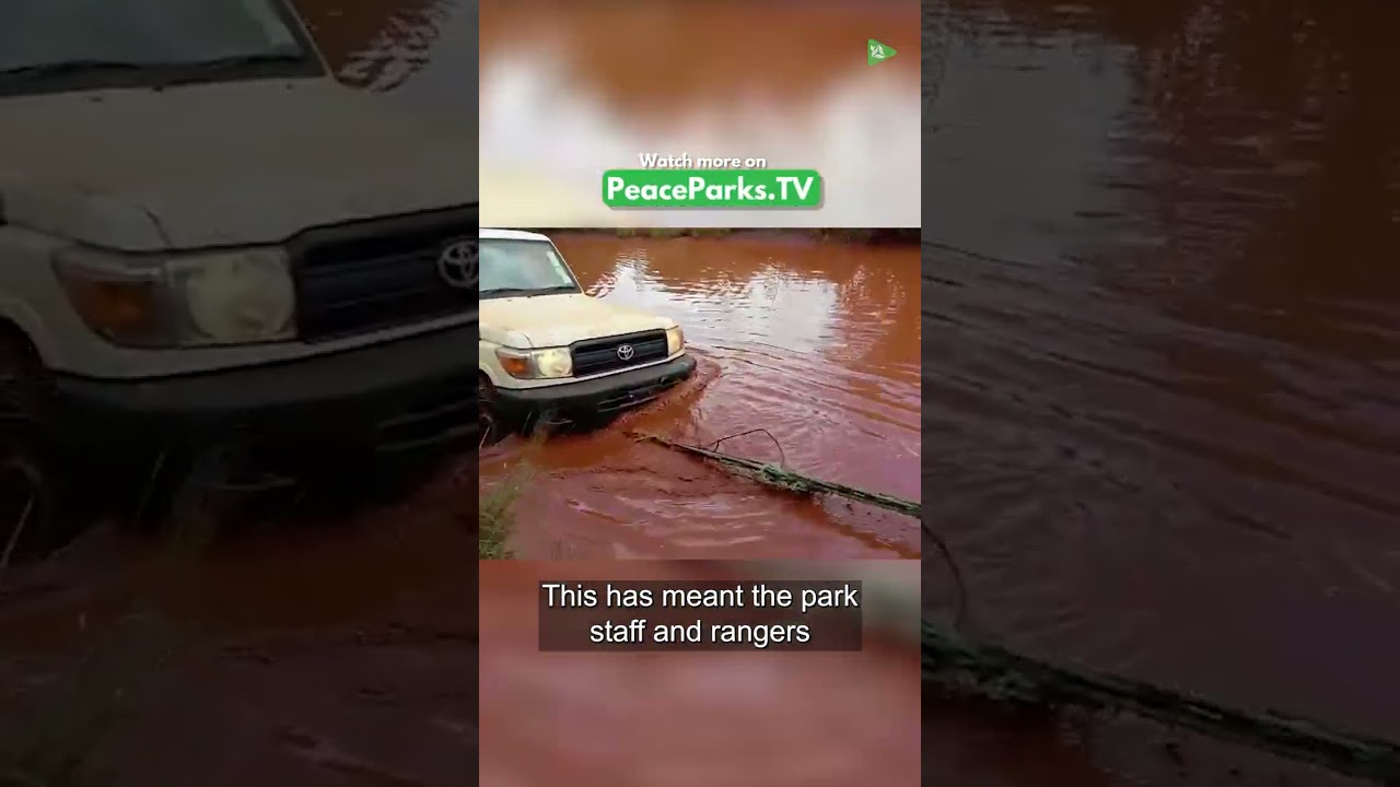 The Aftermath Of Heavy Rains In Kruger and Mozambique