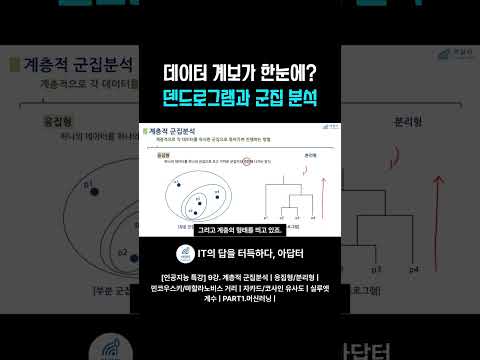 <strong>데이터</strong> 계보가 한눈에? 덴드로그램과 군집 분석