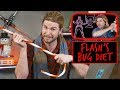 The Flash&#39;s Bug Diet | Because Science Footnotes