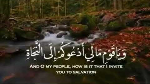 #حالات #واتساب #دينيه تلاوة خاشعة القرأن الكريم بصوت جميل جدا الشيخ ياسر الدوسري