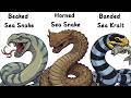 Explained: 10 Sea Snakes You Should Never Mess With