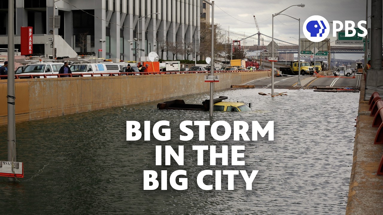 The Climate Paradox: Why New York City Is Greener Than You Think