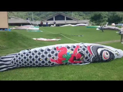 沖縄のこいのぼりの泳がせ方