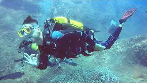 In visita a Ciuchino il cavalluccio marino #seahorse #ciuchinoilcavallucciomarino #iraccontidelmare