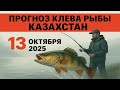 ПРОГНОЗ КЛЁВА в Казахстане на 13 октября 2025 Бросай все и на рыбалку!